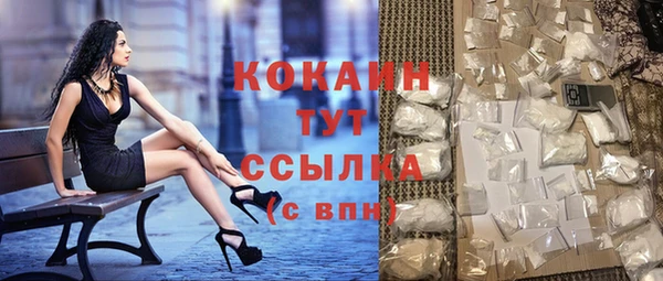 крисы Абаза