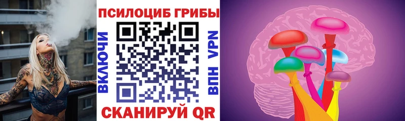 Псилоцибиновые грибы Psilocybine cubensis  купить наркотик  Гагарин 